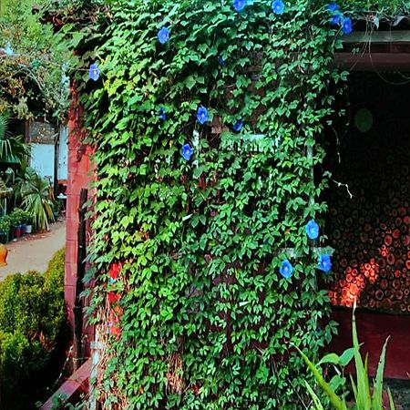 Panchobon Art Resort Shānti Niketan Екстериор снимка